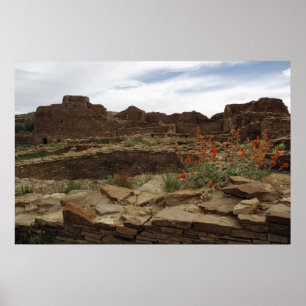 Poster de Rinconada das casas