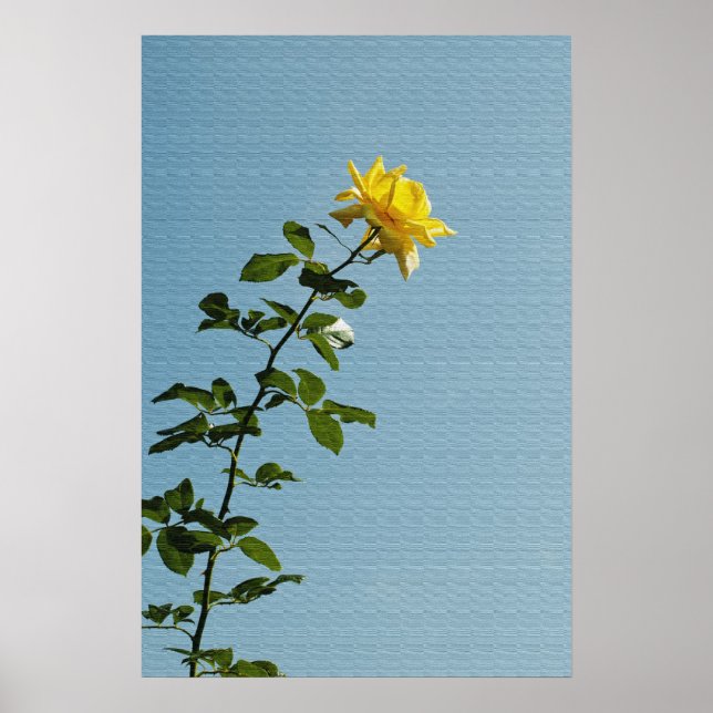 Poster de Rosa Amarelo (Frente)