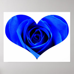 Poster de Rosa azul