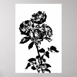 Poster de Rosa de arte ilustrada a preto e branco