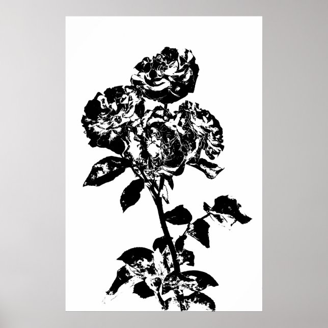 Poster de Rosa de arte ilustrada a preto e branco (Frente)