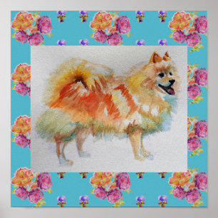 Poster de Rosas de cachorro alemão Spitz Pomerani