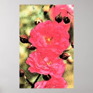 Poster de Rosas Rosa - Foto Digital Arte Floral