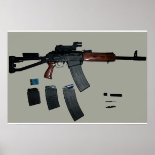 Poster de Saiga 12