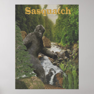 poster de sasquatch