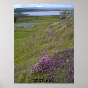 Poster de Scotland