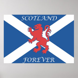 Pôster De Scotland bandeira desenfreado do leão para
