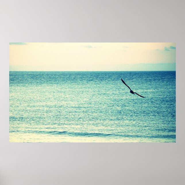 Poster de Seagull (Frente)