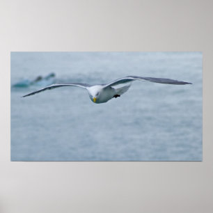 Poster de Seagull 3