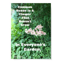 POSTER DE SENSO COMUM