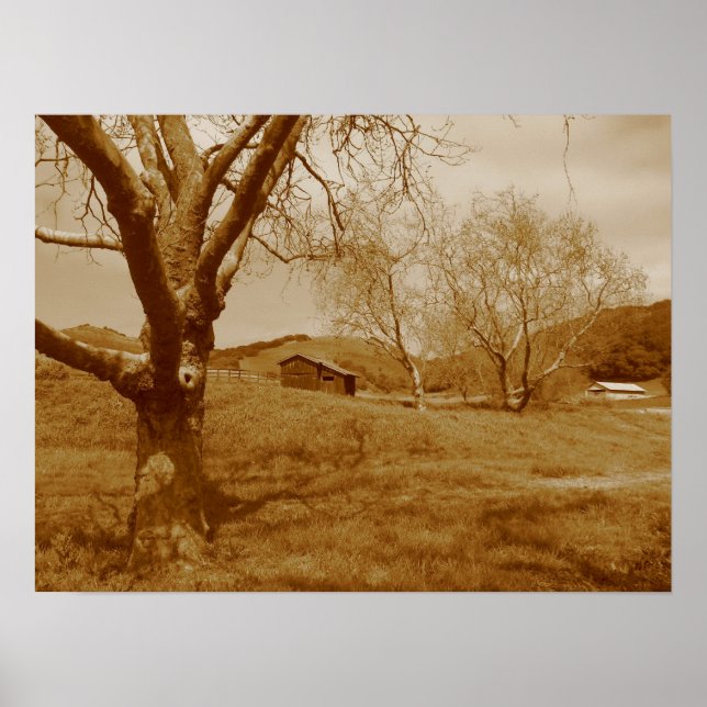 Poster de Shed Antigo (Frente)