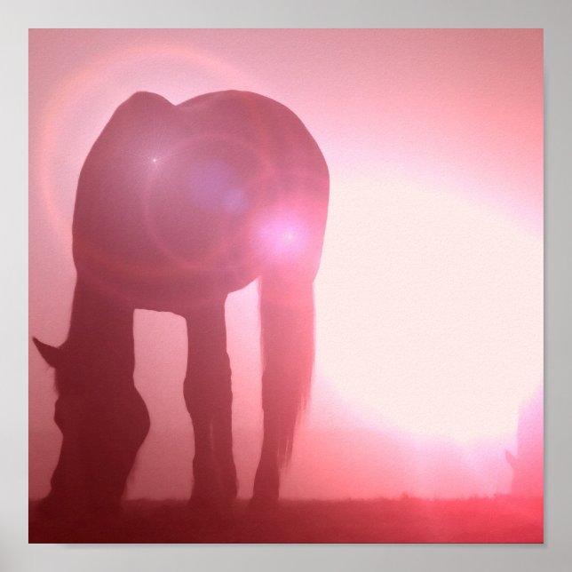 Poster de Silhouette Cavalo (Frente)