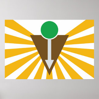 Poster de Sinalizador Quiroprático