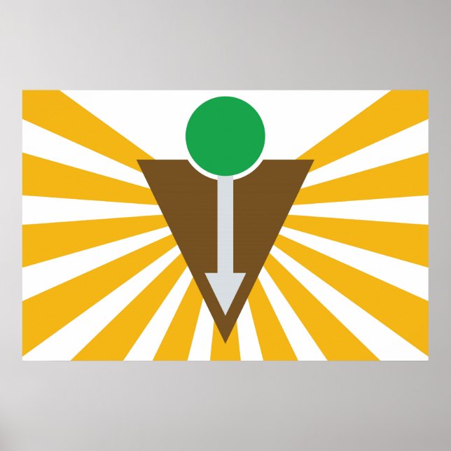 Poster de Sinalizador Quiroprático (Frente)