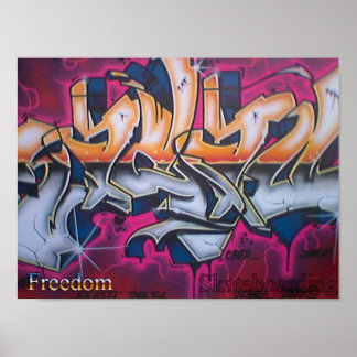 Poster de Skate pela Liberdade nº 2