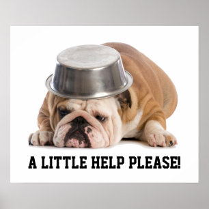 Poster de Solicitação de Ajuda