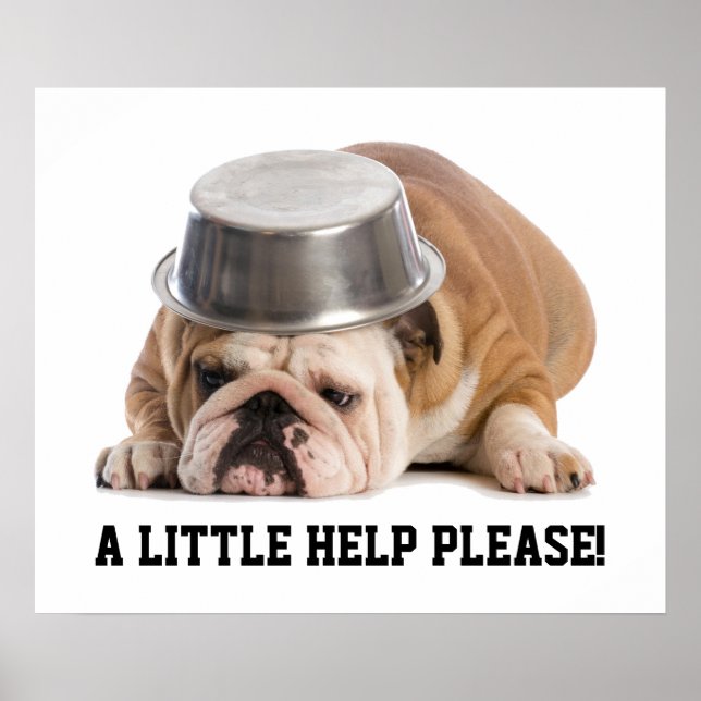 Poster de Solicitação de Ajuda (Frente)