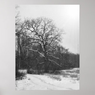 Poster de Solstício de inverno