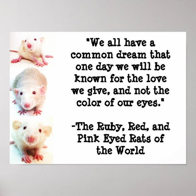 Poster de Sonho Comum (Frente)