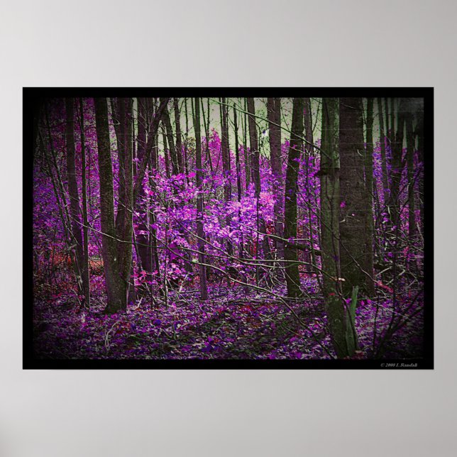 Poster de Sonhos de Lavanda Desvanecidos (Frente)