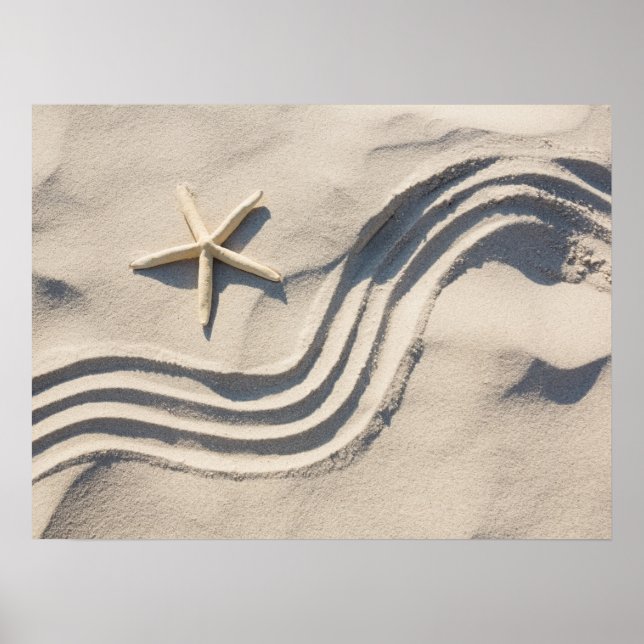 Poster de Starfish (Frente)