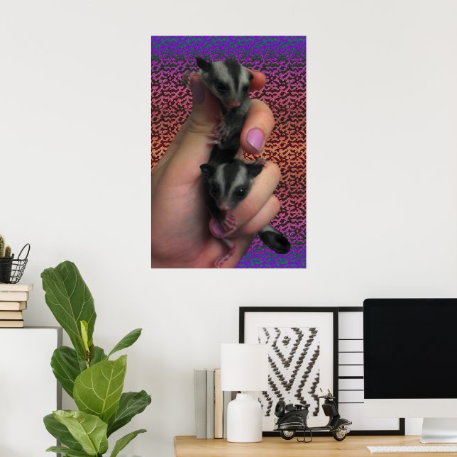 Pôster de Sugar Glider (Escritório em casa)