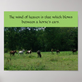 Poster de Suporte de Emergência em Cavalos de Corr