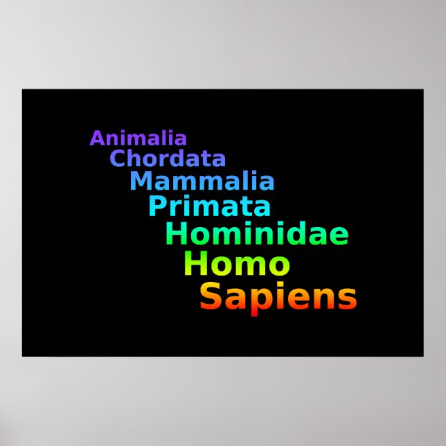 Poster de Taxonomia Humana (Frente)
