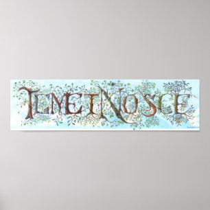 Poster de Temet Nosce