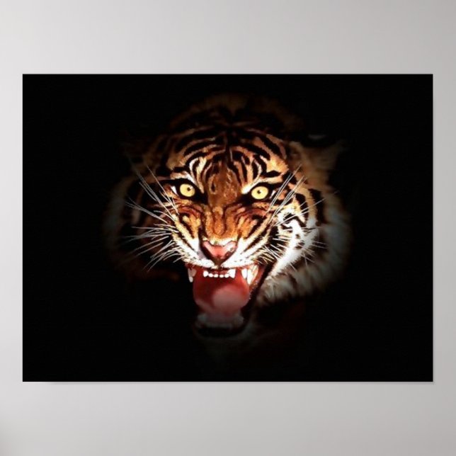 Poster de Tigre de Coragem Motivada (Frente)