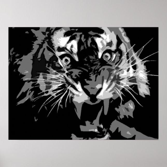 Poster de Tigre de Rumo (Frente)