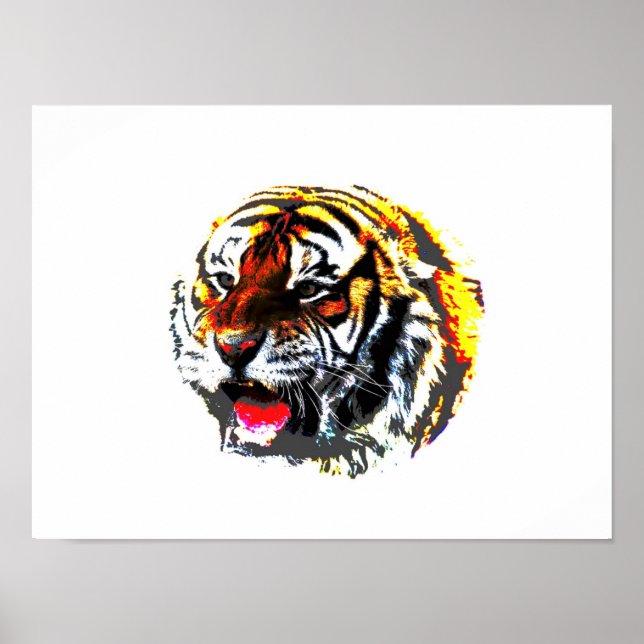 Poster de Tigre - Posters de Tigres Siberianos (Frente)
