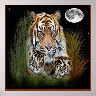 Poster de tigres e filhotes