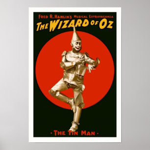 Poster de Tin Man