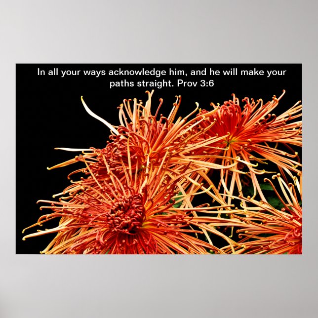 Pôster de todas as formas, reconheça-o (Frente)