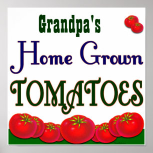 Poster de Tomates Cultivados Domésticos