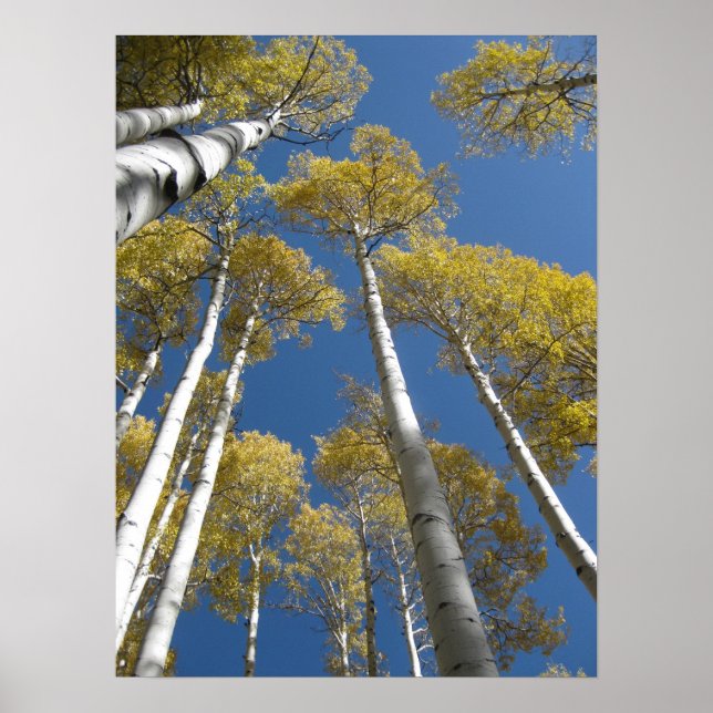 Poster de torre (Frente)