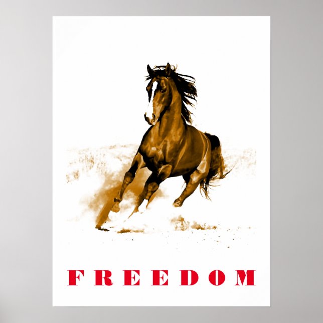 Poster de Trabalho de arte de Motivação de Cavalo  (Frente)