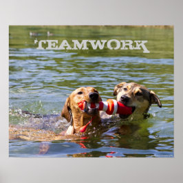 Poster de Trabalho em equipe de cães personalizáve