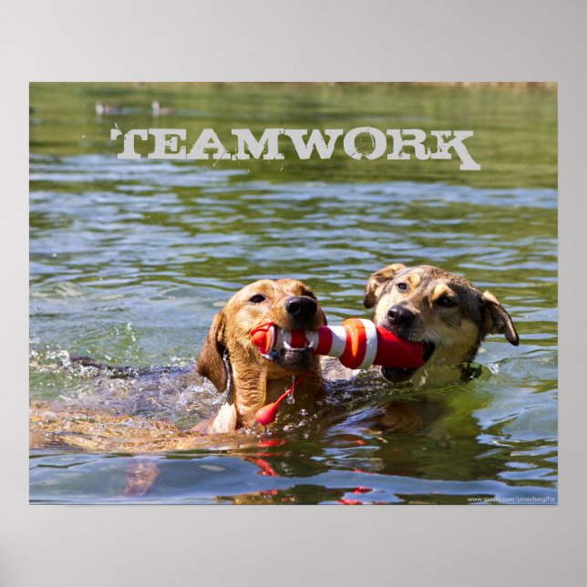 Poster de Trabalho em equipe de cães personalizáve (Frente)