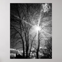 Poster de traçado da galeria do Sol e da árvore