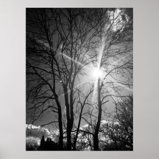 Poster de traçado da galeria do Sol e da árvore