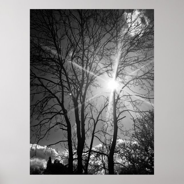 Poster de traçado da galeria do Sol e da árvore (Frente)