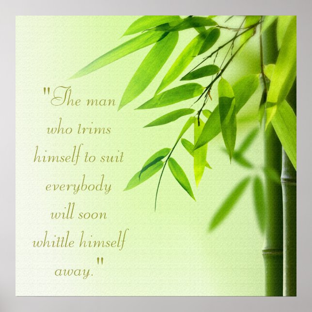 Poster de Tratamento de Spa (Frente)