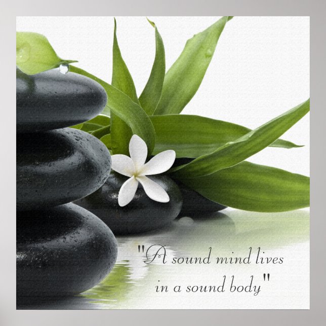 Poster de Tratamento Holístico Spa (Frente)