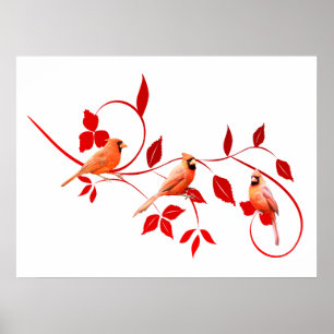 Poster de três cardeais