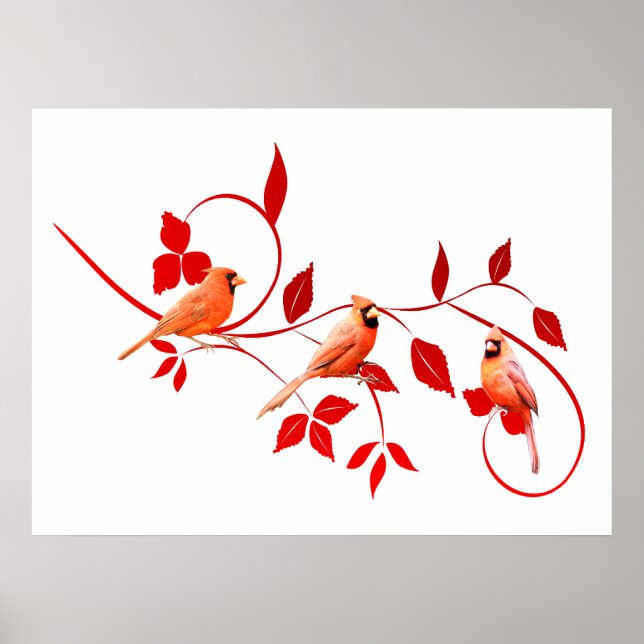 Poster de três cardinhos (Frente)