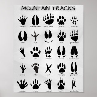 Poster de Trilhas de Montanha