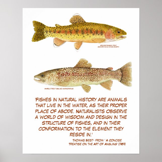 Poster de Trouts (Frente)