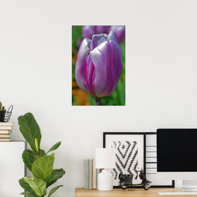 Poster de Tulip Art Roxo (Escritório em casa)